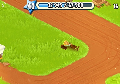 Hay Day Tom Rests for 2 Hours.JPG