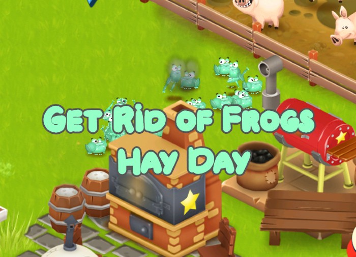 Fast Get Rid of Hay Day Frogs (Tutorials).jpg