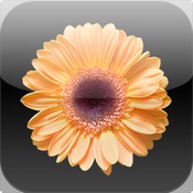 City Stems下载 攻略 评测 图片 视频_iPad Air\/